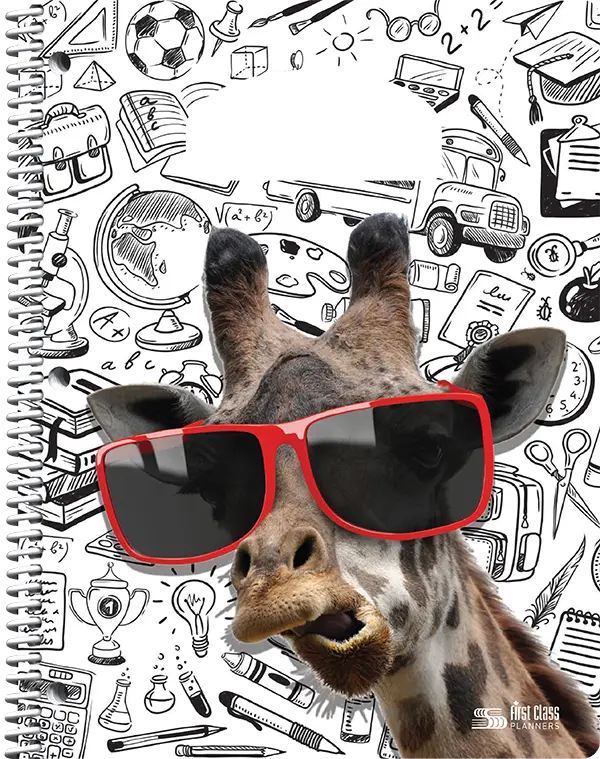 Couverture standard 11