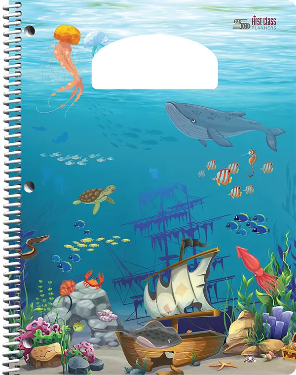 Couverture standard 13